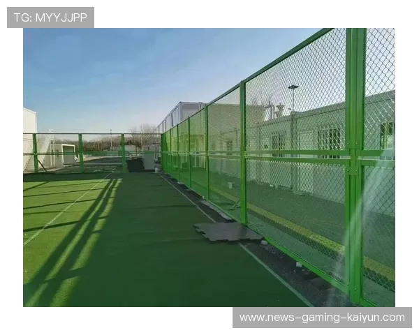 飞越球场围栏的力量：棒球外野大号全垒打背后的装备与训练之道